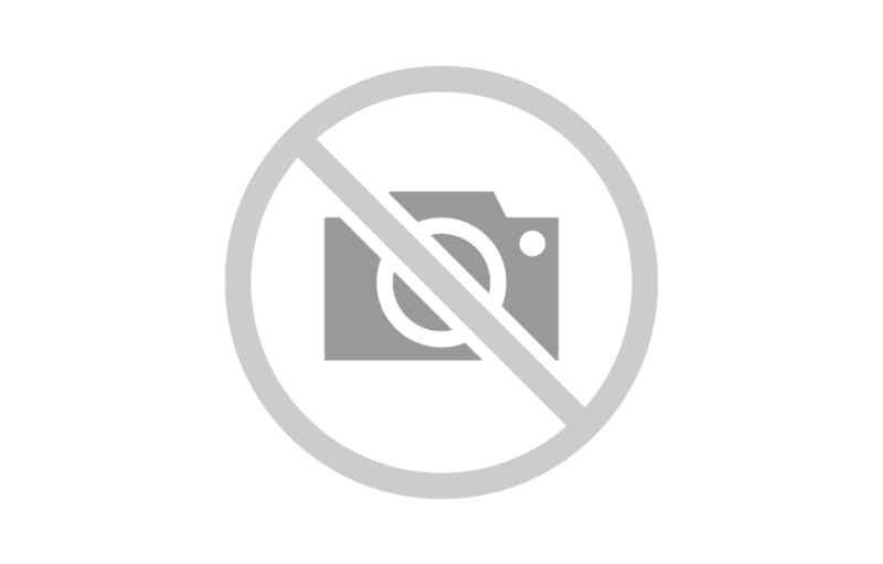 Aliquam fermentum, enim quis rhon hendrerit, eros ipsum varius mauris.